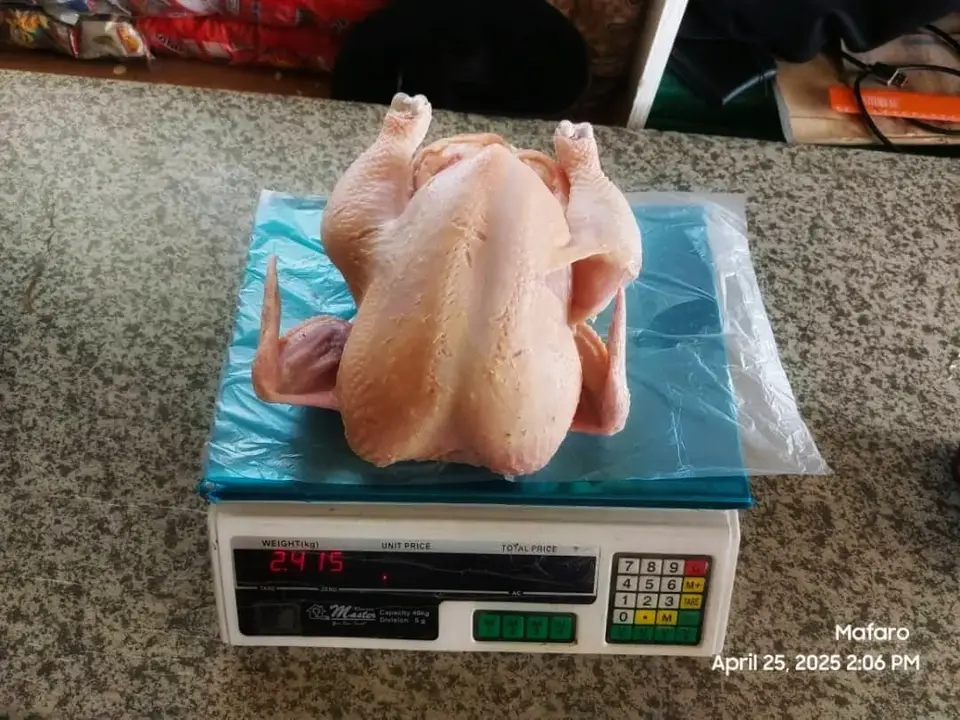 Ex-Layer Kienyeji Chicken – Primecuts Kenya
