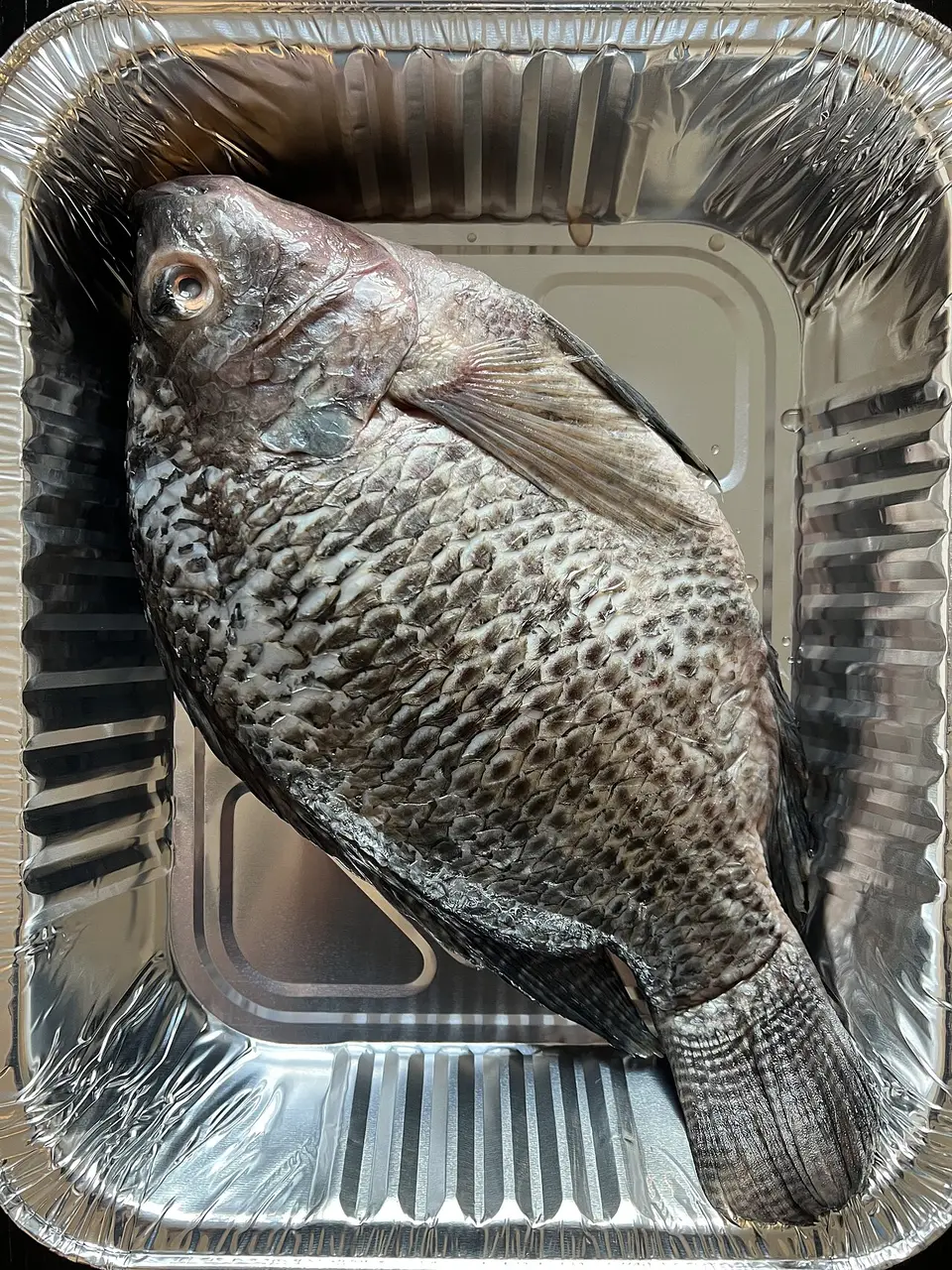Whole Tilapia – Primecuts Kenya