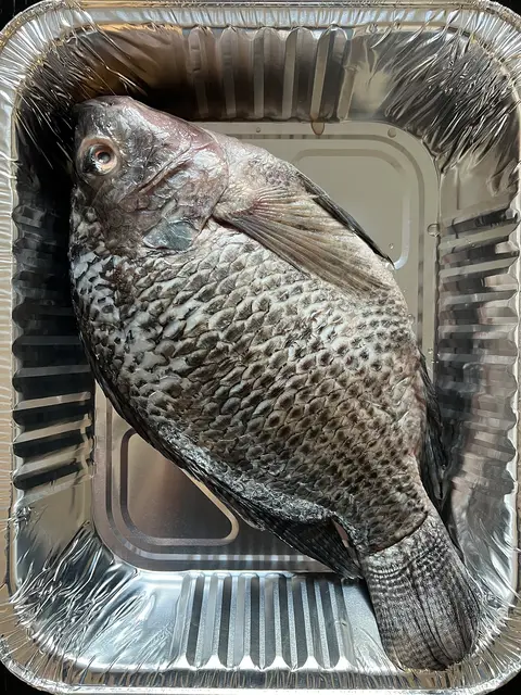 Whole Tilapia – Primecuts Kenya